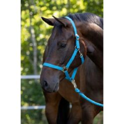 Hippo halster blauw- 2 - Cob