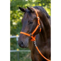 Hippo halster oranje-3 - Full