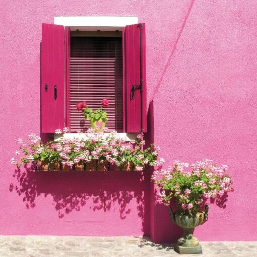 Buiten canvas roze huis 58x58cm