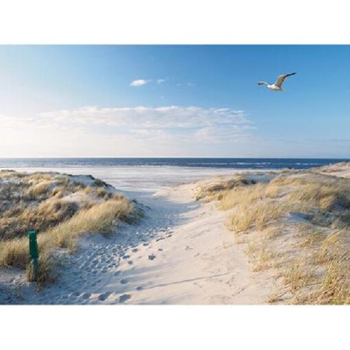 Buiten canvas strand zeemeeuw 58x78cm
