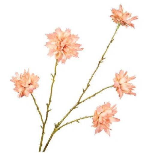 Zinnia Peach Zijde 68cm per stuk