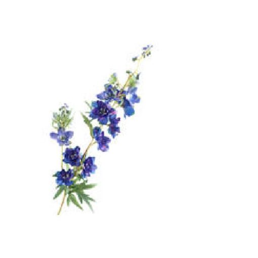 Delphinium Dark Blue 94cm Zijde per stuk
