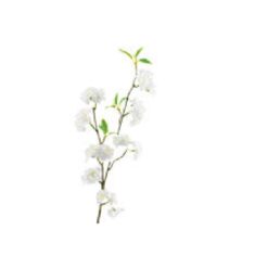 Prunus white 70cm Zijde per stuk