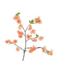 Blossom Peach 88cm Zijde per stuk
