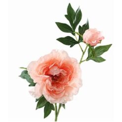 Paeonia Bud Salmon 63cm Zijde per stuk