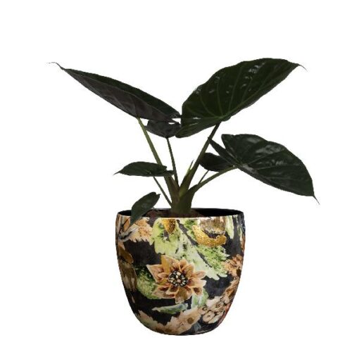Pot Berry Blue D17H15
