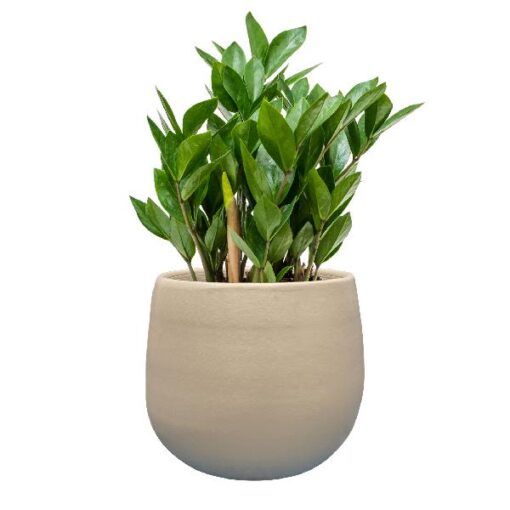 Pot Isabel warm grey D22H20