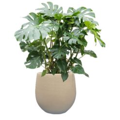 Pot Isabel warm grey D31H28
