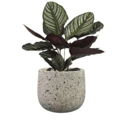 Pot Tina terrazo grey D21H17