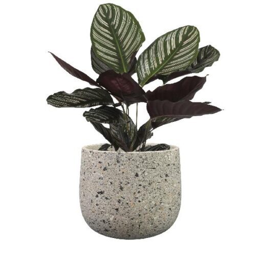Pot Tina terrazo grey D21H17