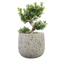 Pot Tina terrazo grey D23H20