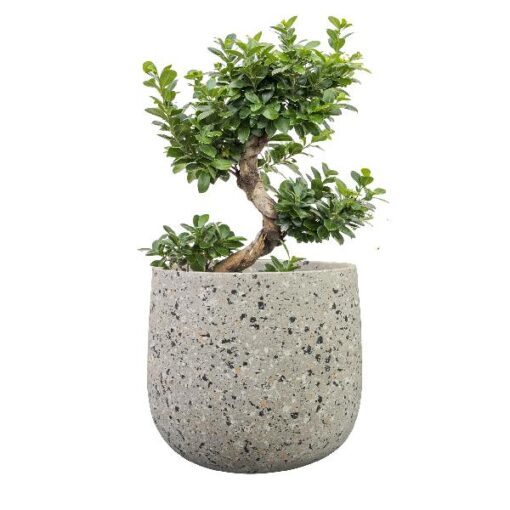 Pot Tina terrazo grey D23H20