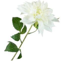 Dahlia White zijde per stuk