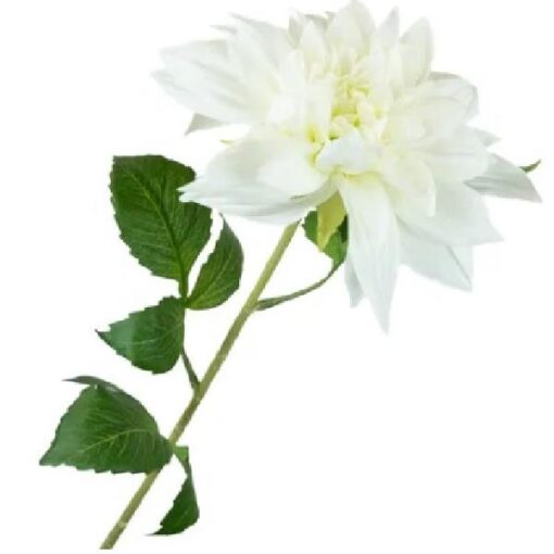Dahlia White zijde per stuk