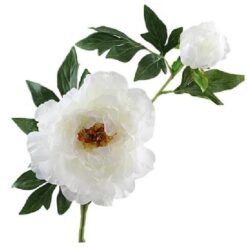 Paeonia Bud White zijde per stuk