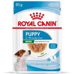 Royal Canin SHN Mini Puppy Wet