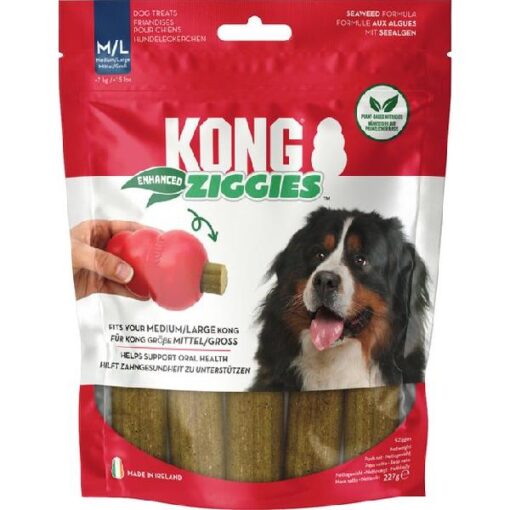 Kong Enhanced Ziggies M/L