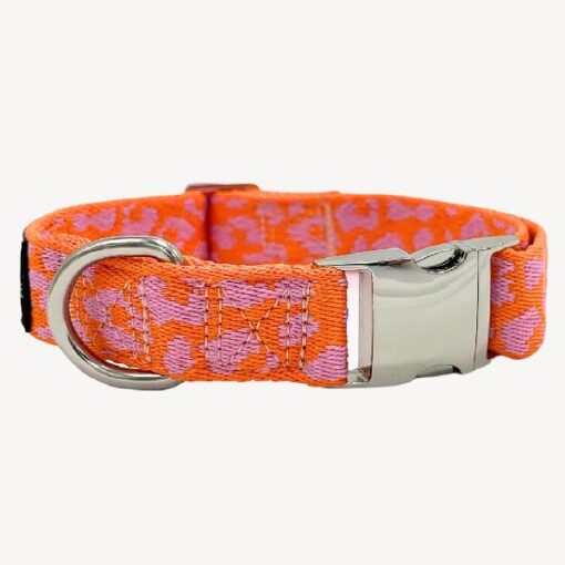 Dog n Me Halsband Panter S - 28-40/2cm