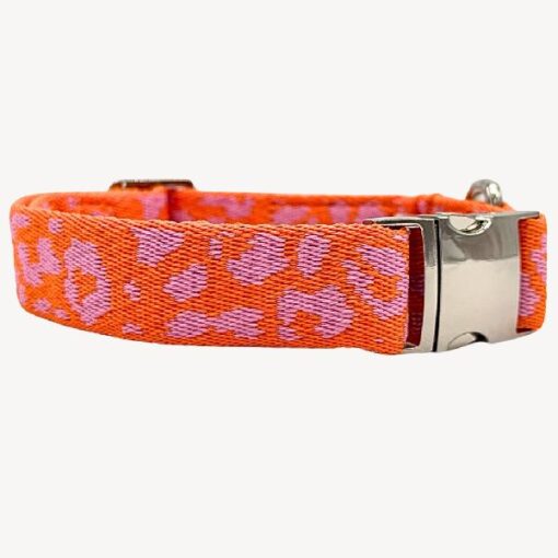 Dog n Me Halsband Panter L - 42-68/2,5cm