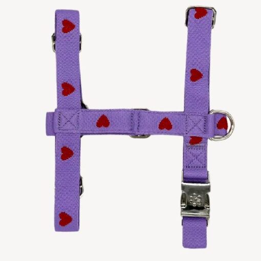 Dog n Me Tuigje Hearts XS