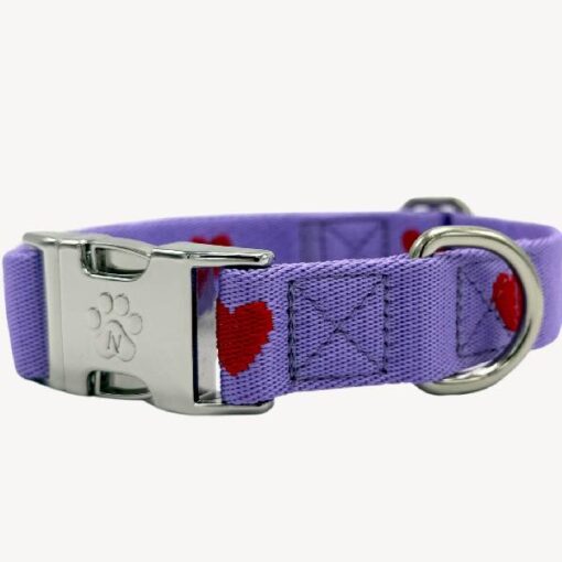 Dog n Me Halsband Hearts XS 22-36/1,5cm