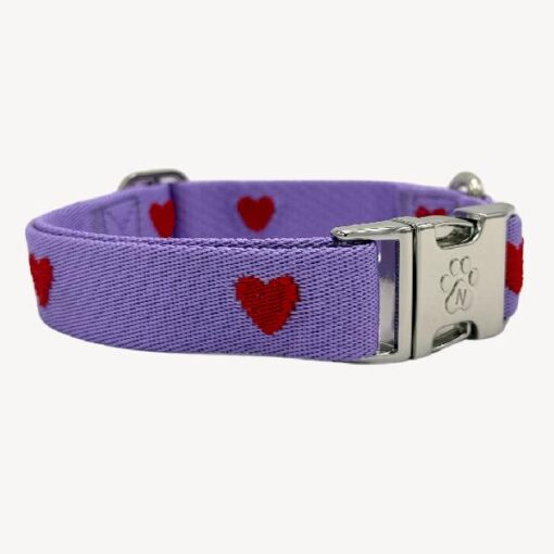 Dog n Me Halsband Hearts M 36-52/2,5cm
