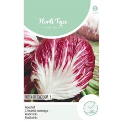 HT Radicchio Rossa Di Chioggia (Palla Rossa)