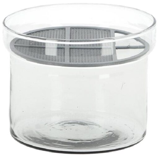 Esschert Design kiemgroentenkiemset