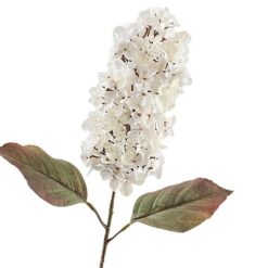 Hydrangea Dried Beige 66cm zijde
