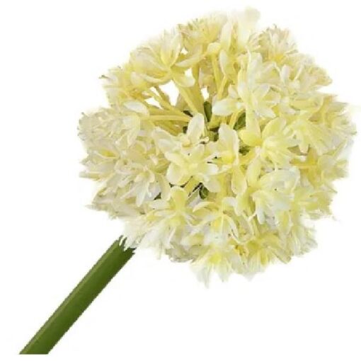 Allium white zijde per stuk