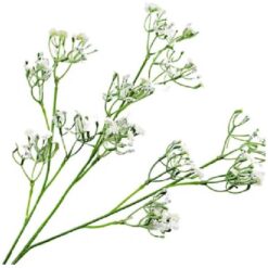 Gypsophilla White 60cm per stuk