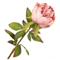 Paeonia Pink 60cm zijde per stuk