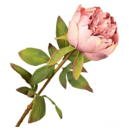 Paeonia Pink 60cm zijde per stuk