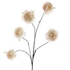 Cabbage Rosa Spray Beige 112cm