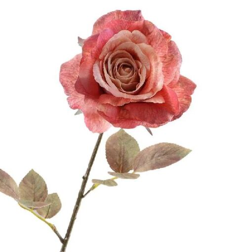 Rosa Dried Pink 67cm zijde