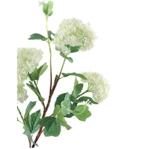 Viburnum Opulus White 85cm zijde per stuk