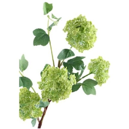 Viburnum Opulus Green 85cm zijde per stuk