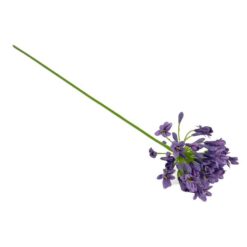 Agapanthus purple zijde 73cm