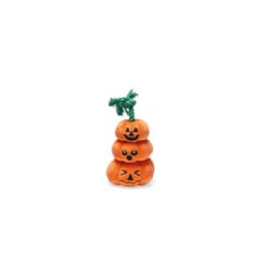 Bz Halloween Pompoenen met touw oranje 25 cm