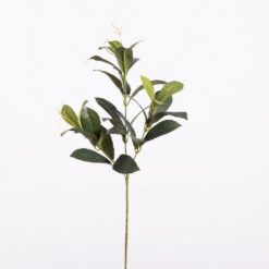 Larierblad Groen zijde L58cm