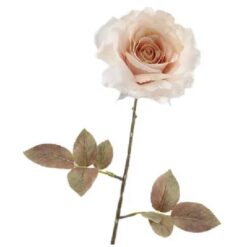 Rosa dried beige zijde 67cm