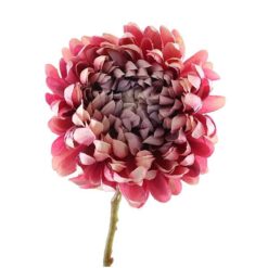 Chrysanthemum mauve/pink zijde