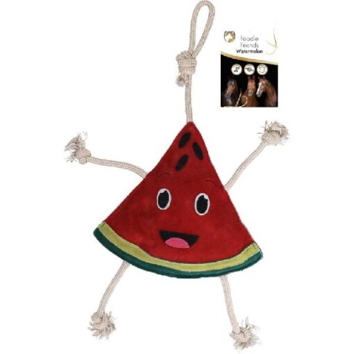 Excellent Horse Foodie Friends Watermelon