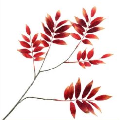 Leaf Branch Burgundy zijde
