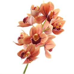 Cymbidium Orchid Orange Zijde