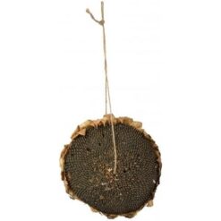 Zonnebloemkop Zwart L