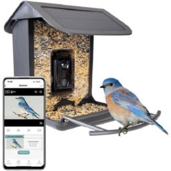 AI Bird Feeder met Camera