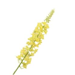 Eremurus Cerise FL440055CER zijde per stuk