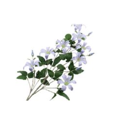 Clematis Blue zijde