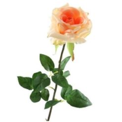 Rosa Salmon zijde